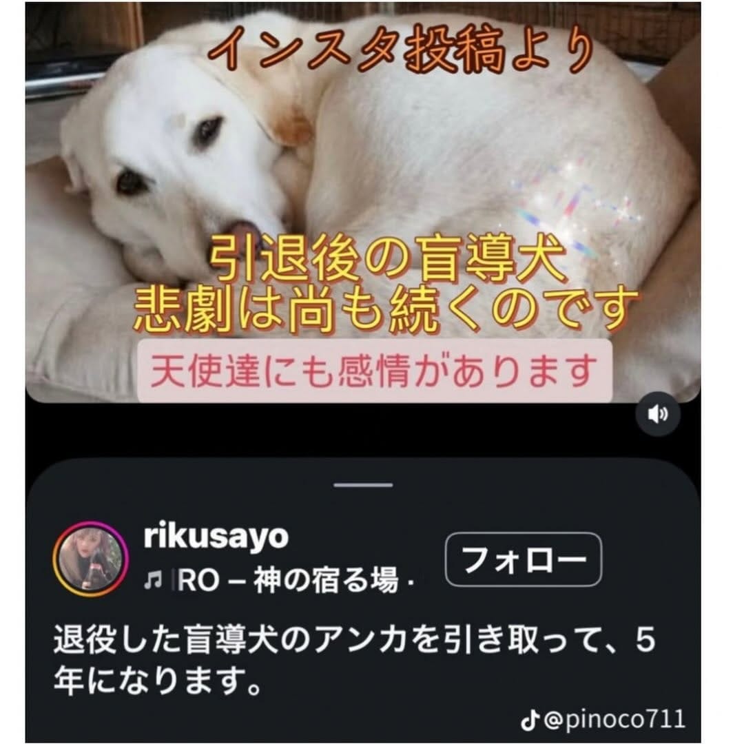 Post 3 by Hikari Nagaya on Instagram (carousel)