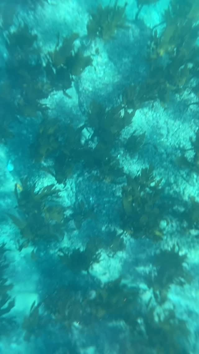 Post 6 by Ryow-A〜新米漁師の奮闘記〜 on Instagram (video)