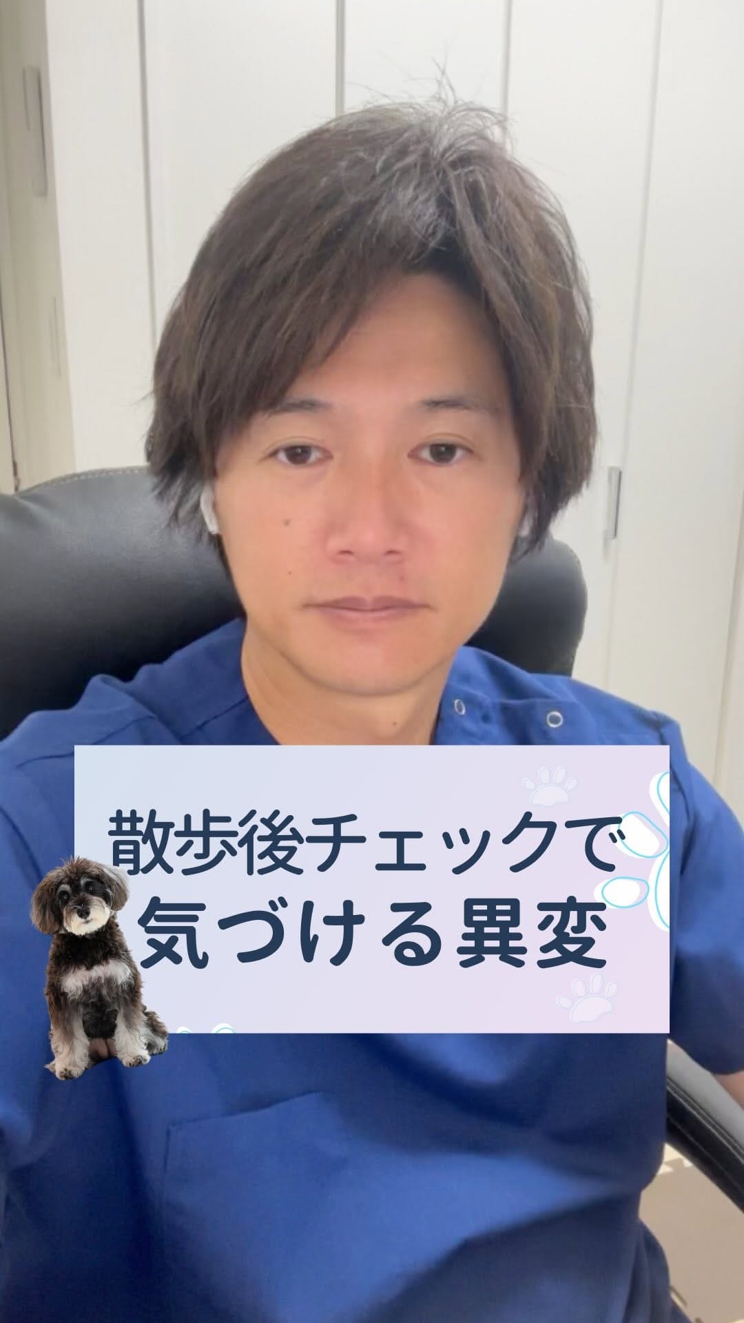 Post 8 by さとう先生｜犬猫の健康寿命を延ばす獣医師🐾佐藤貴紀 on Instagram (video)