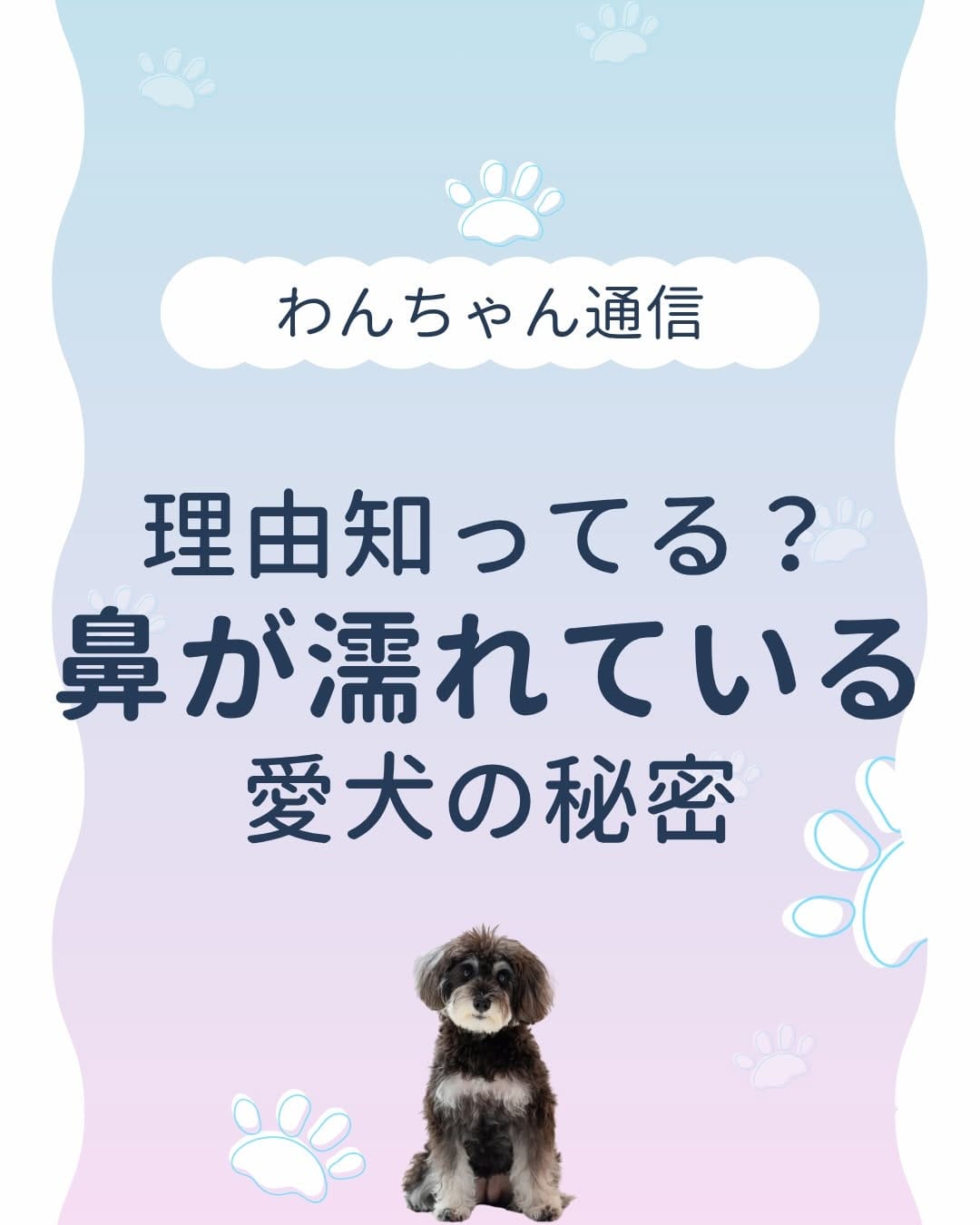 Post 1 by さとう先生｜犬猫の健康寿命を延ばす獣医師🐾佐藤貴紀 on Instagram (carousel)