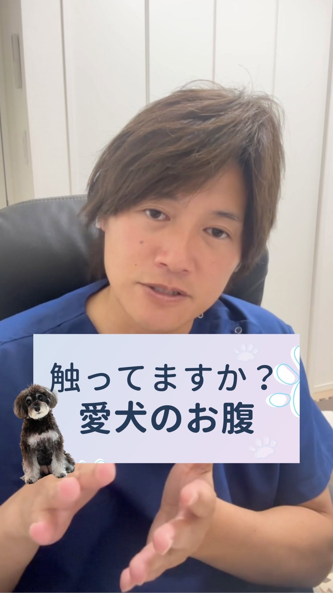 Post 3 by さとう先生｜犬猫の健康寿命を延ばす獣医師🐾佐藤貴紀 on Instagram (video)