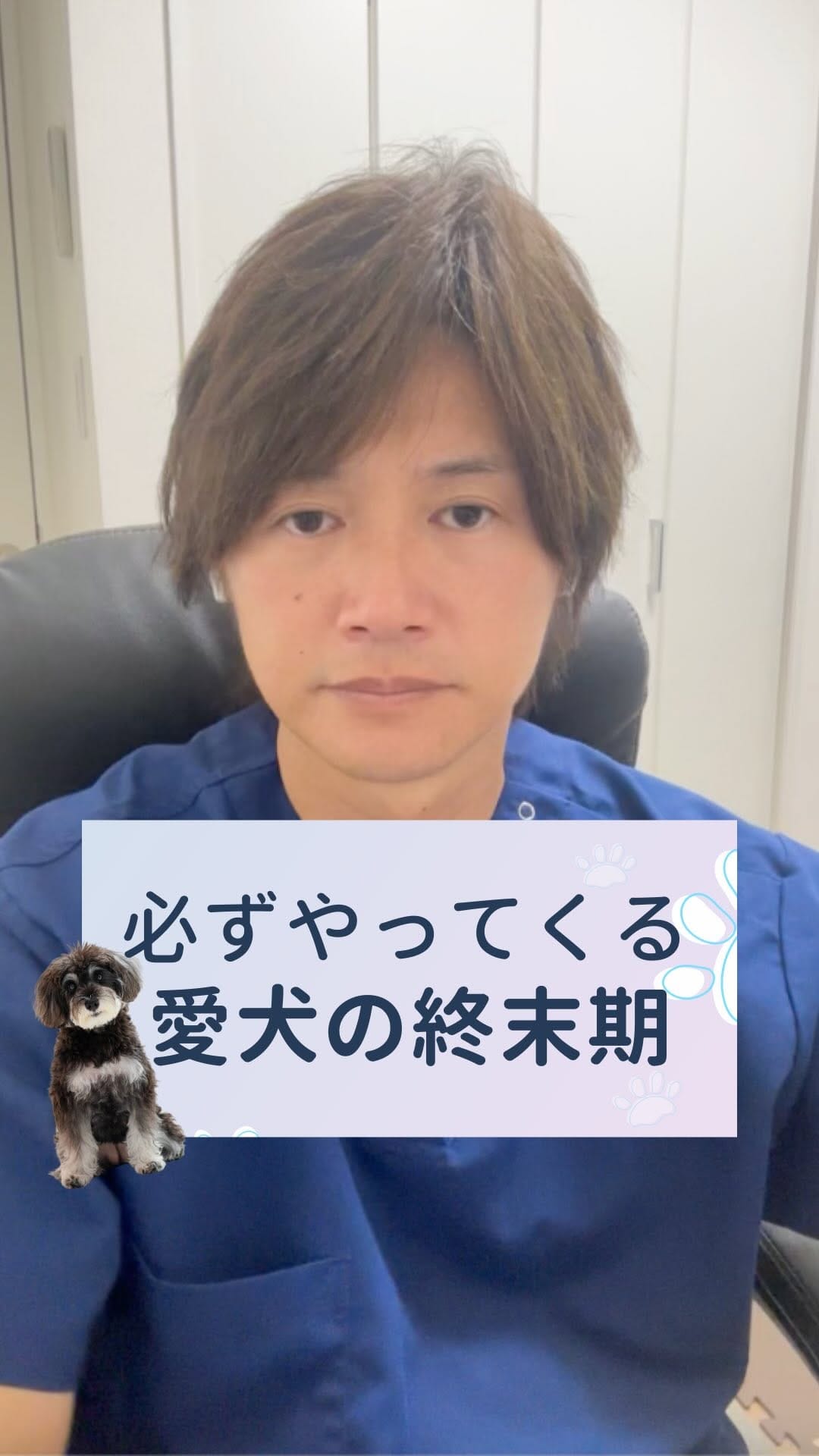 Post 2 by さとう先生｜犬猫の健康寿命を延ばす獣医師🐾佐藤貴紀 on Instagram (video)