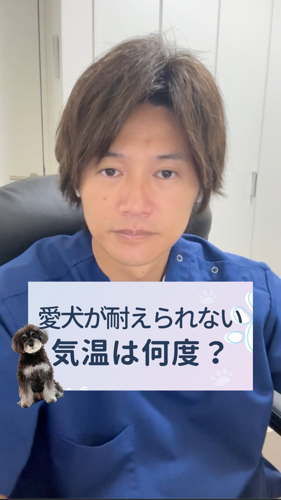 Post 9 by さとう先生｜犬猫の健康寿命を延ばす獣医師🐾佐藤貴紀 on Instagram (video)