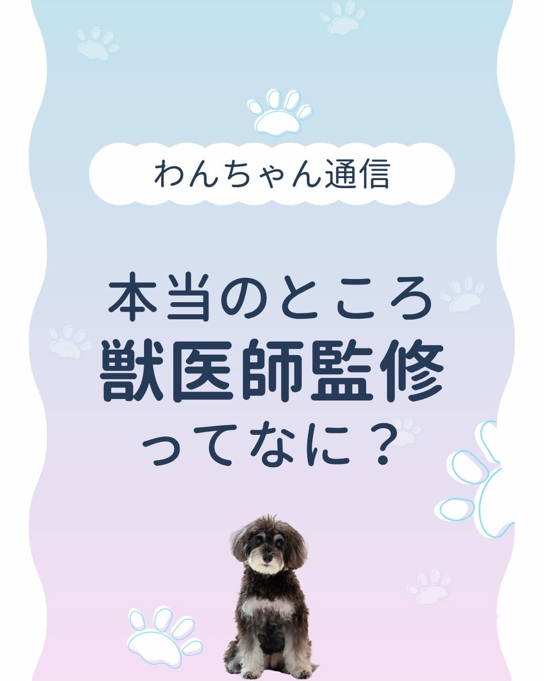 Post 4 by さとう先生｜犬猫の健康寿命を延ばす獣医師🐾佐藤貴紀 on Instagram (carousel)