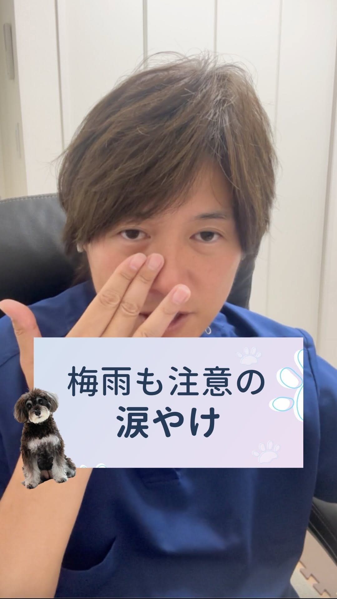 Post 5 by さとう先生｜犬猫の健康寿命を延ばす獣医師🐾佐藤貴紀 on Instagram (video)