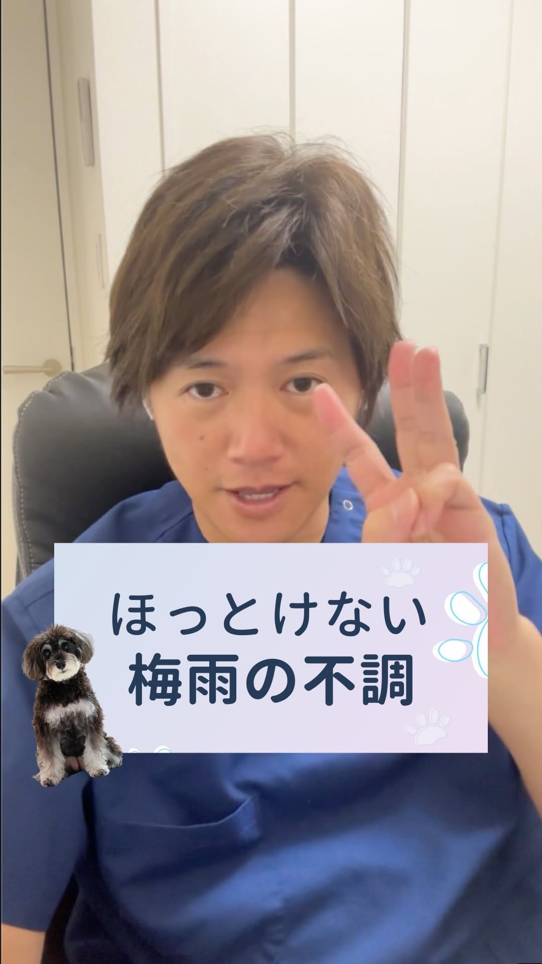 Post 6 by さとう先生｜犬猫の健康寿命を延ばす獣医師🐾佐藤貴紀 on Instagram (video)