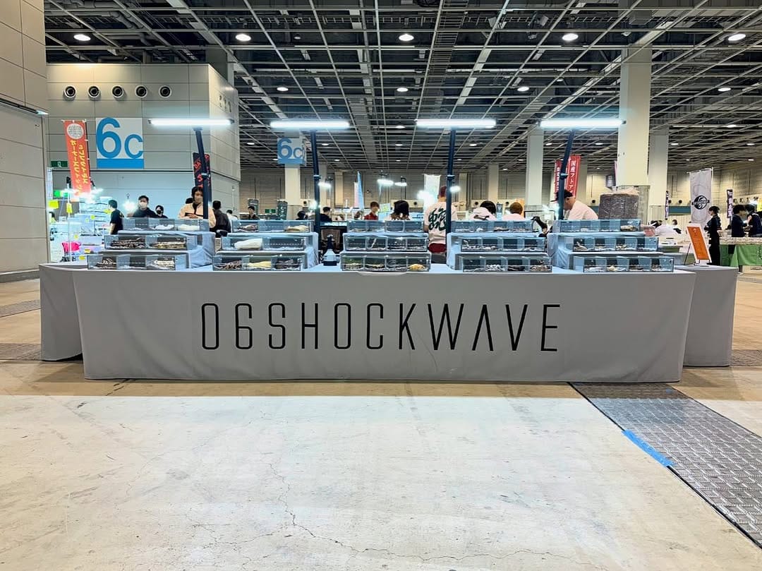 Post 9 by Satoshi Higashibori ボールパイソン on Instagram (image)