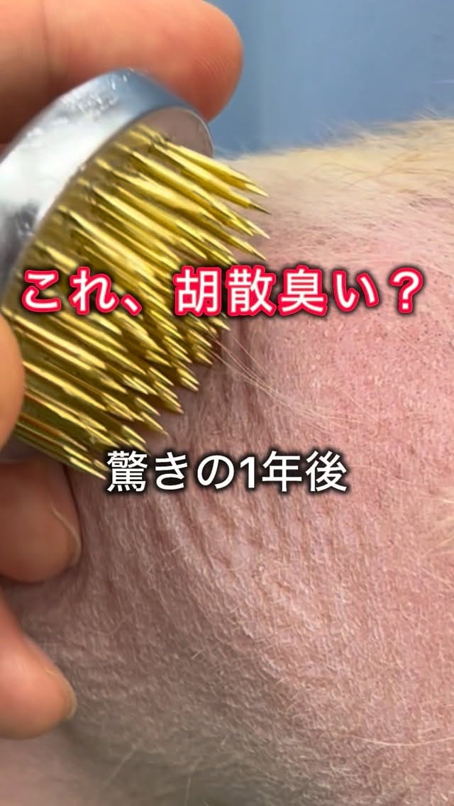 Post 9 by 犬の皮膚&行動の獣医師 平川将人 on Instagram (video)