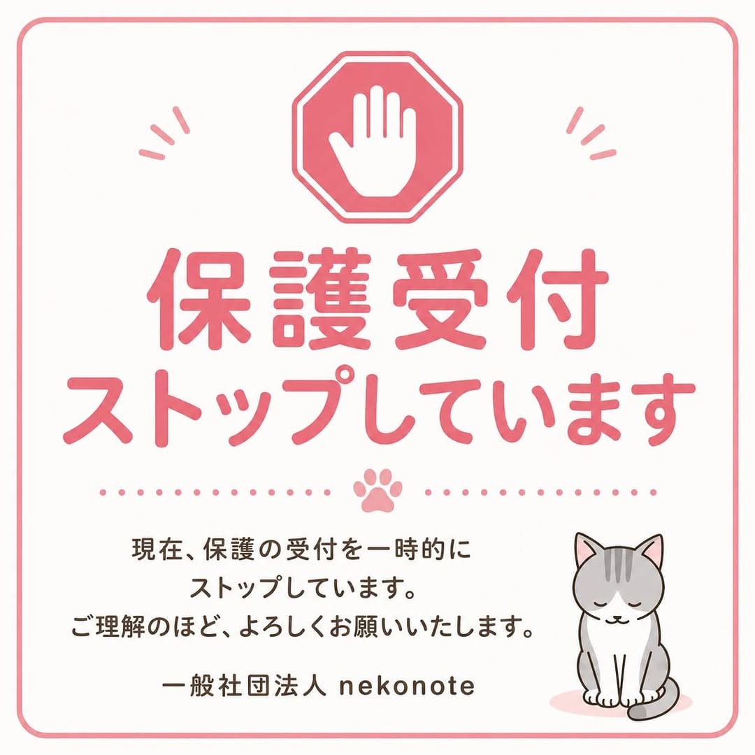 Post 9 by nekonote ねこのて on Instagram (image)
