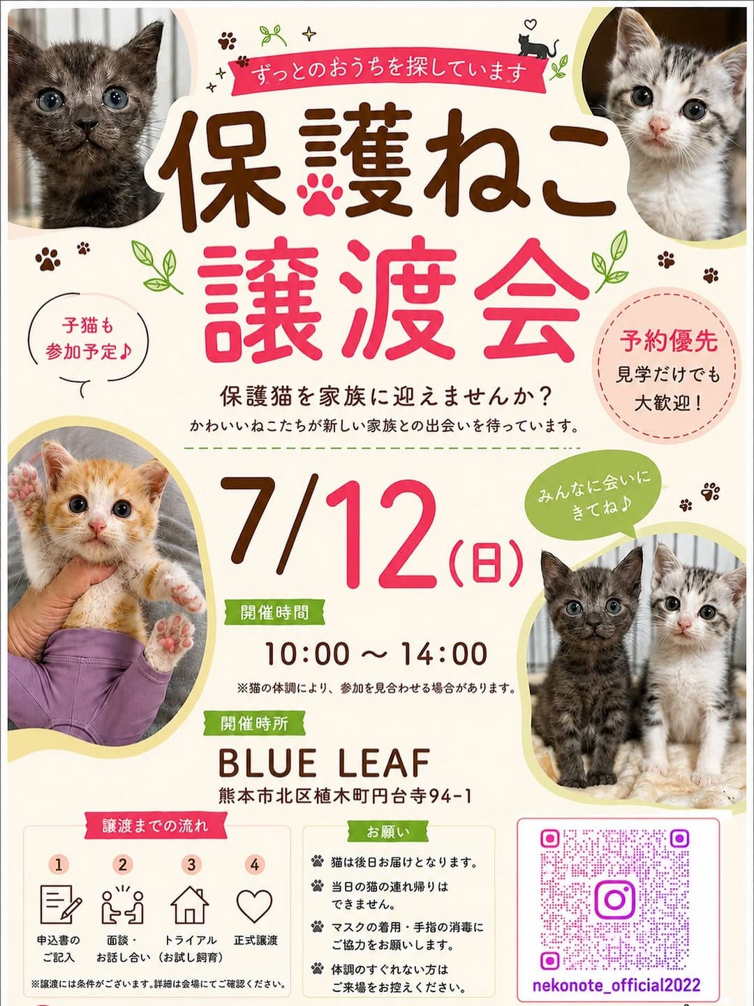 Post 10 by nekonote ねこのて on Instagram (image)