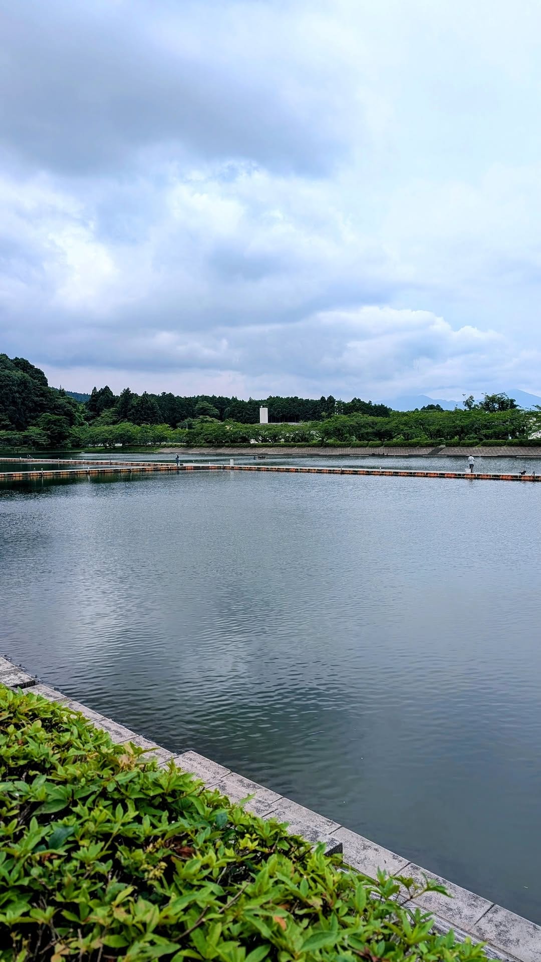 Post 3 by 【公式】リヴァスポット早戸／早戸川国際マス釣場 on Instagram (image)