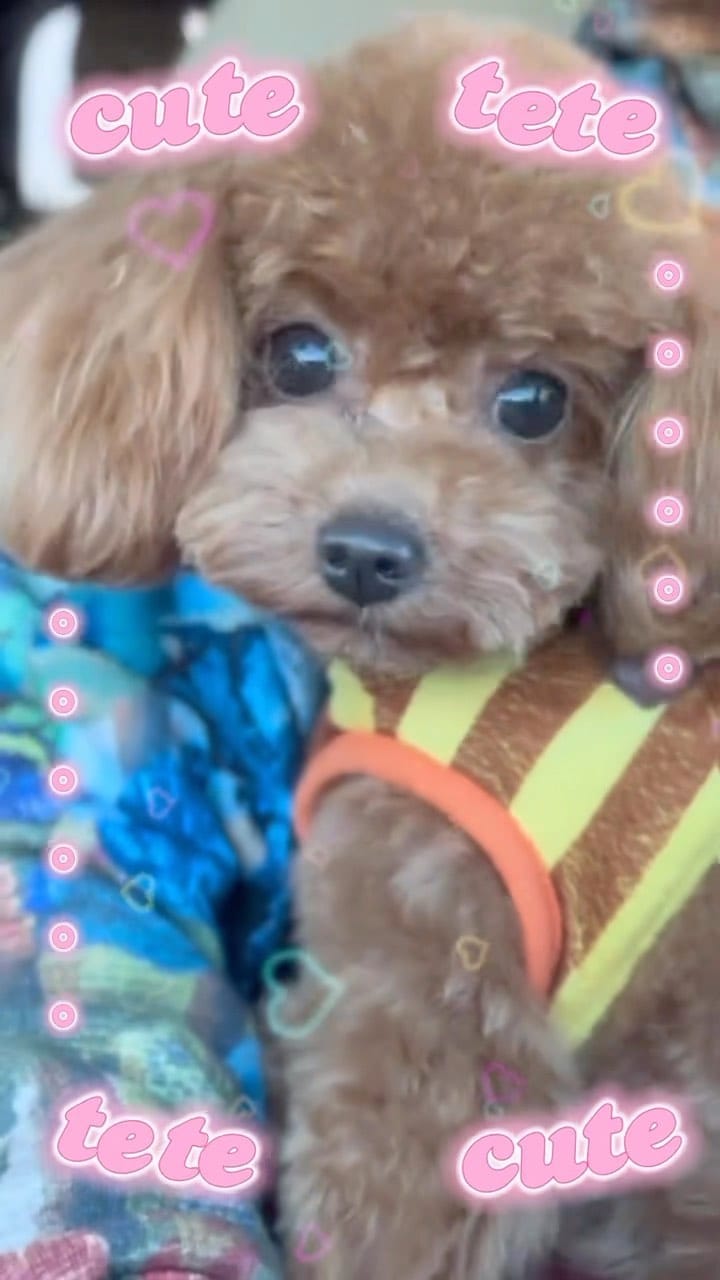 Post 2 by Tete on Instagram (video)