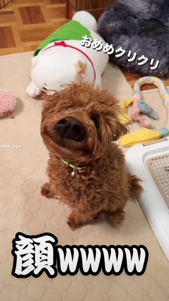 Post 6 by Tete on Instagram (video)