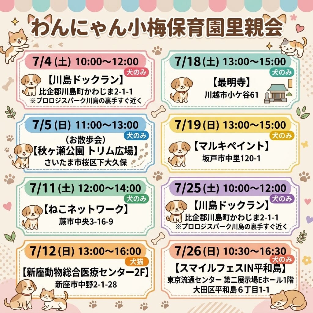 Post 6 by わんにゃん小梅保育園FARCO　小梅 on Instagram (image)