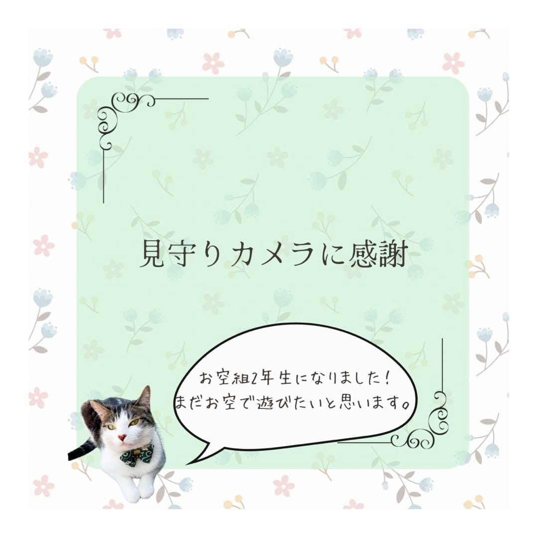 Post 6 by 長生き犬猫ごはん　獣医師chico on Instagram (carousel)