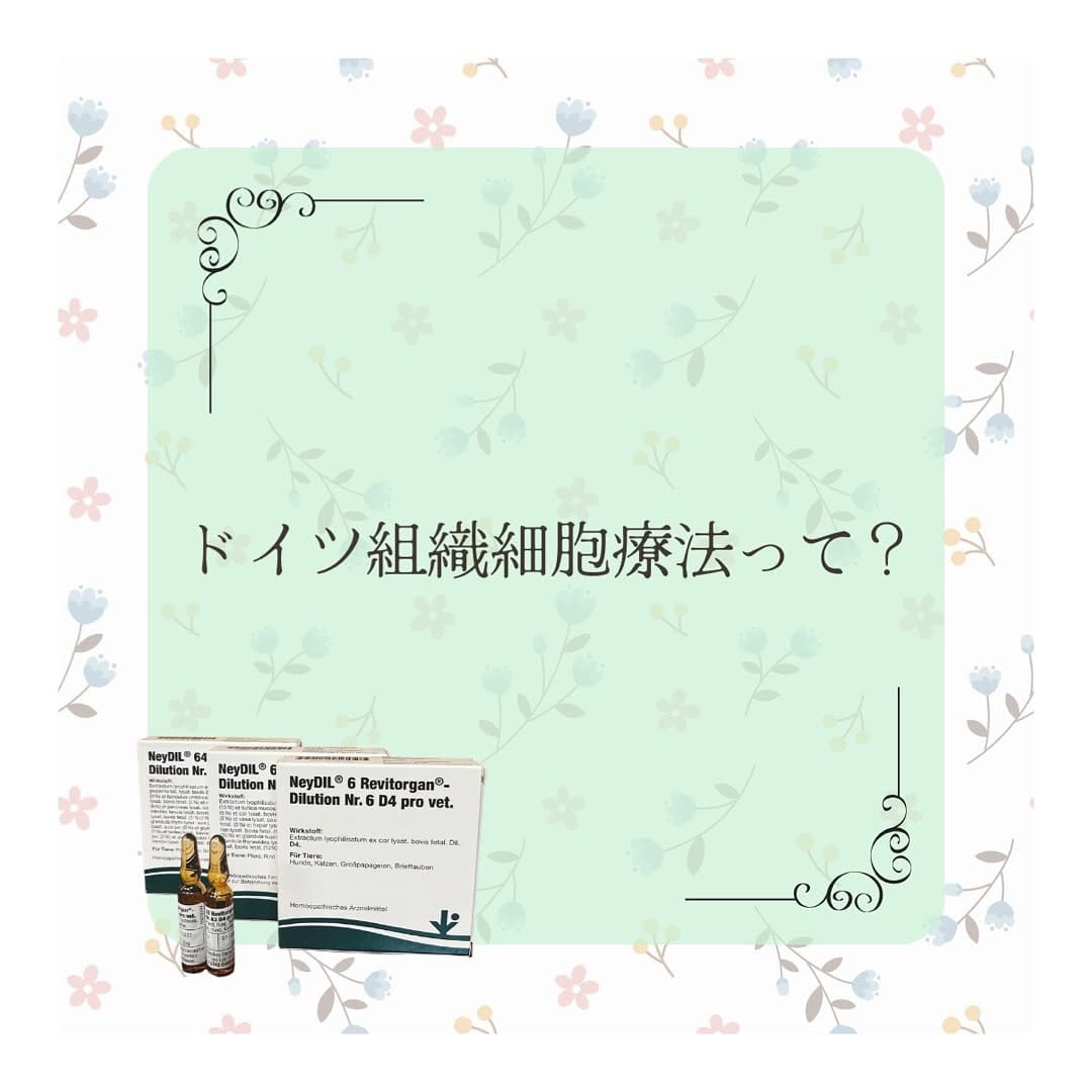 Post 8 by 長生き犬猫ごはん　獣医師chico on Instagram (carousel)