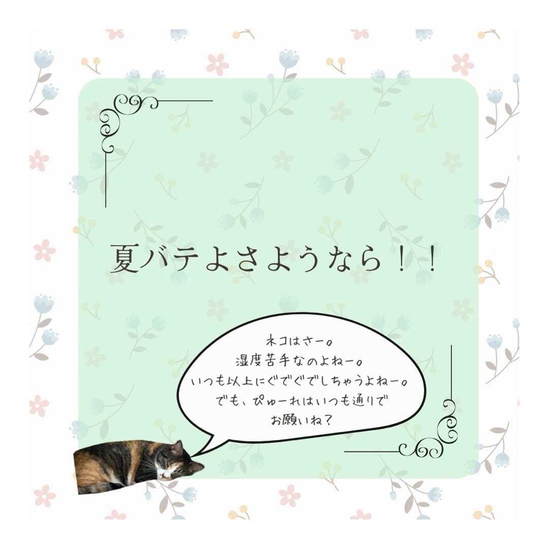Post 1 by 長生き犬猫ごはん　獣医師chico on Instagram (carousel)