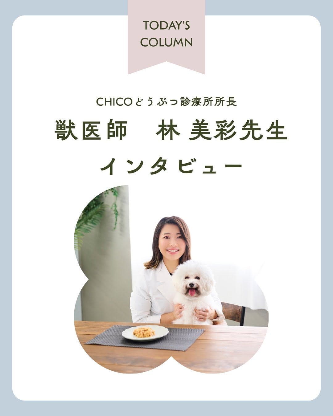 Post 5 by 長生き犬猫ごはん　獣医師chico on Instagram (carousel)