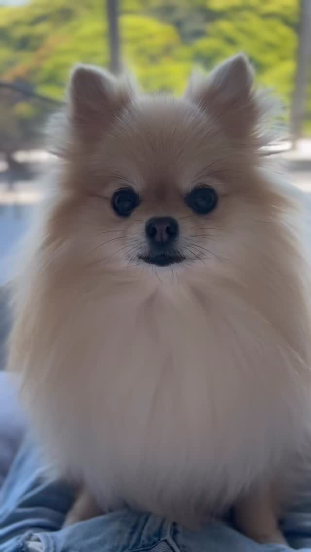 Post 5 by Uni on Instagram (video)