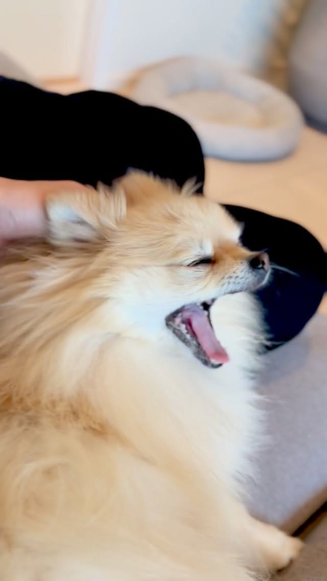 Post 9 by Uni on Instagram (video)