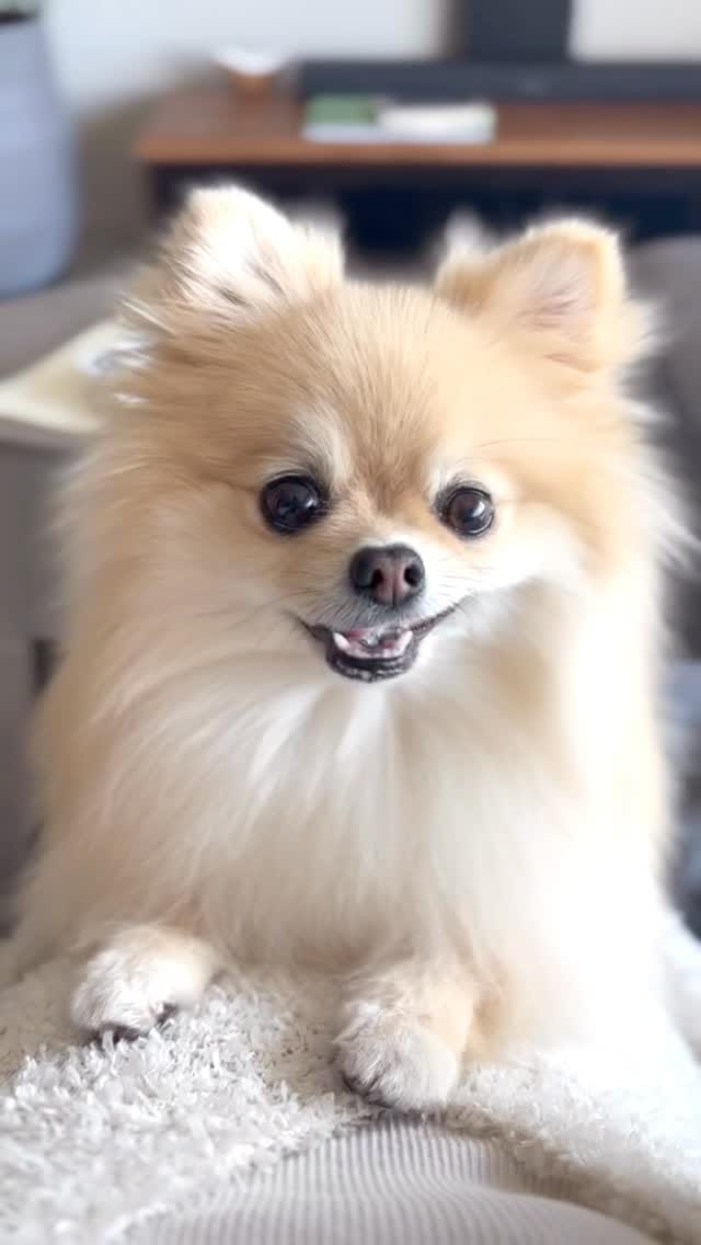 Post 10 by Uni on Instagram (video)