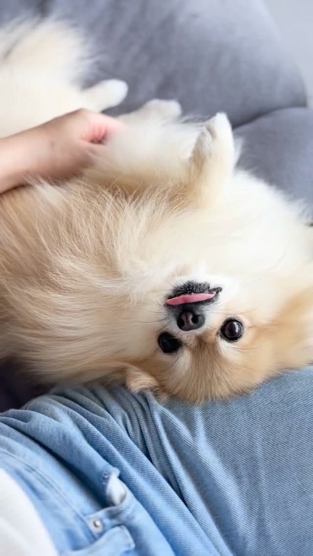 Post 4 by Uni on Instagram (video)