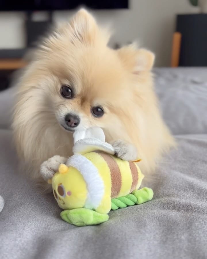 Post 6 by Uni on Instagram (carousel)