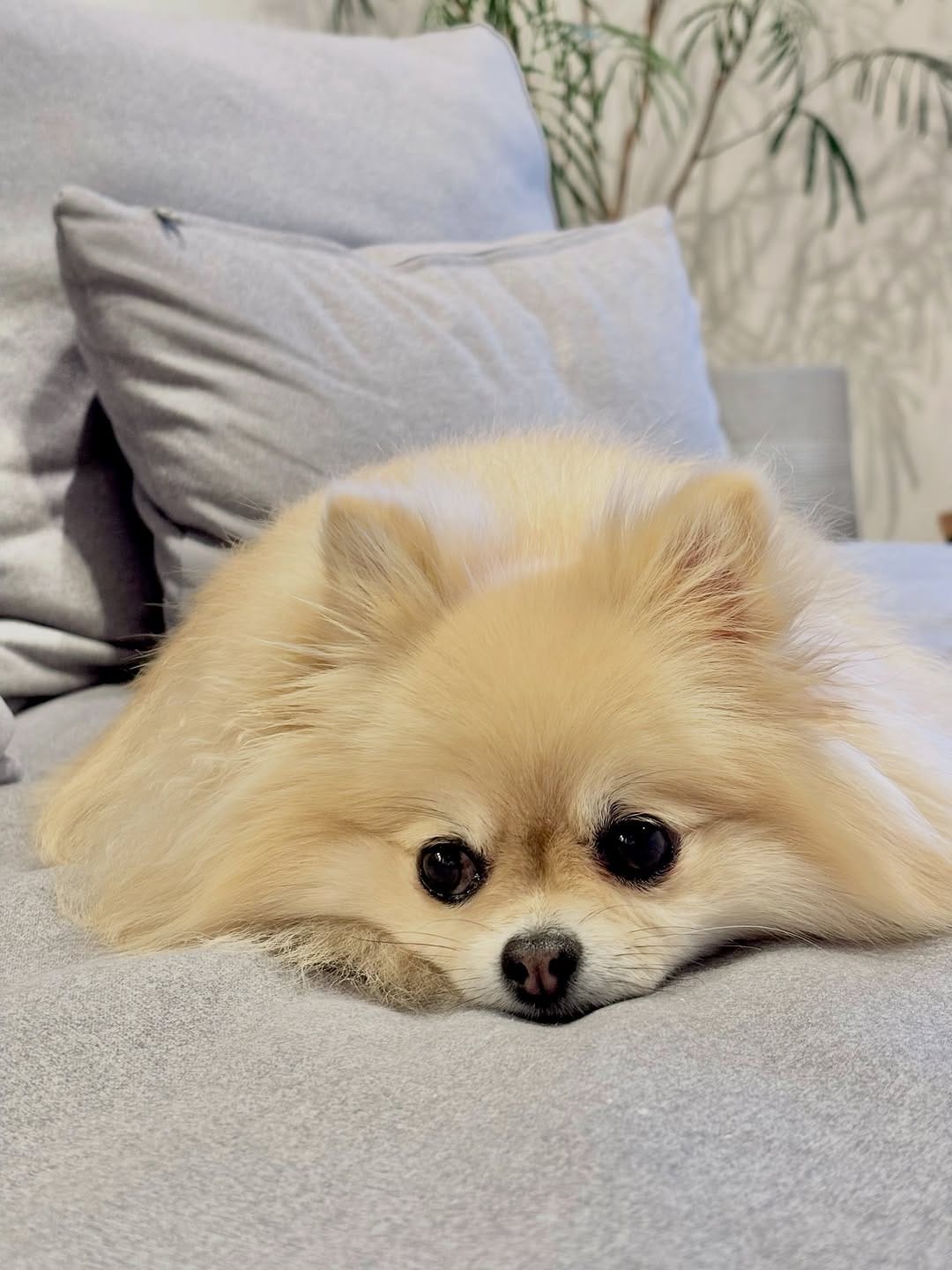Post 3 by Uni on Instagram (carousel)