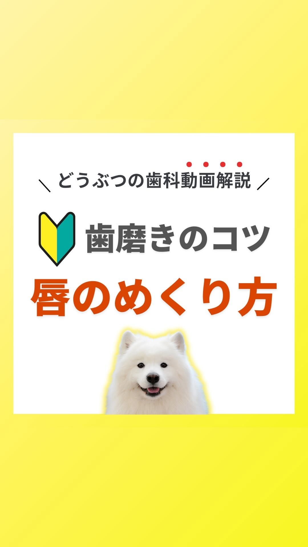 Post 10 by どうぶつの歯科／歯科獣医師が今からでも出来るケアを発信 on Instagram (video)