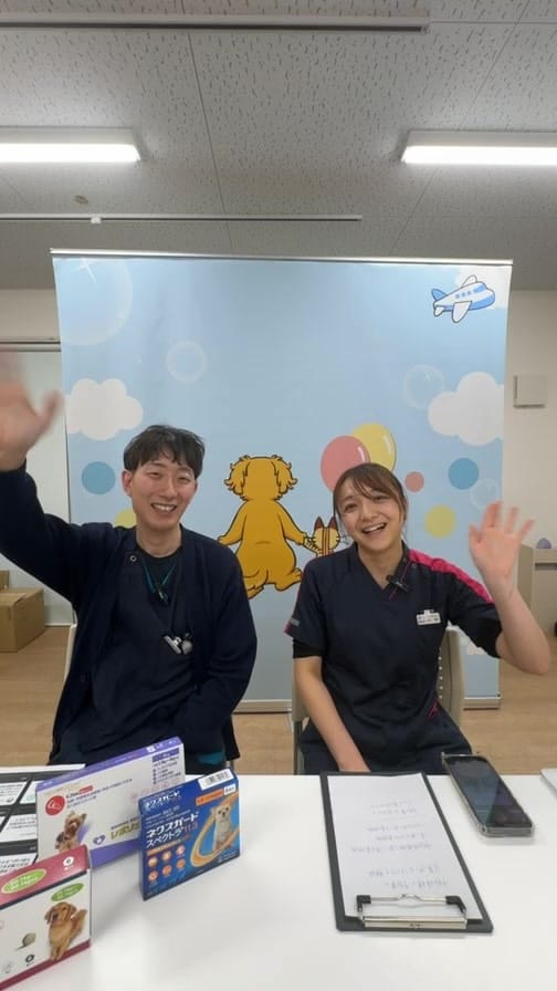Post 6 by どうぶつの歯科／歯科獣医師が今からでも出来るケアを発信 on Instagram (video)