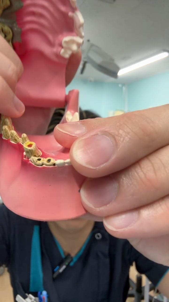 Post 4 by どうぶつの歯科／歯科獣医師が今からでも出来るケアを発信 on Instagram (video)