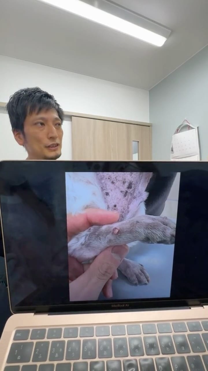 Post 7 by どうぶつの歯科／歯科獣医師が今からでも出来るケアを発信 on Instagram (video)