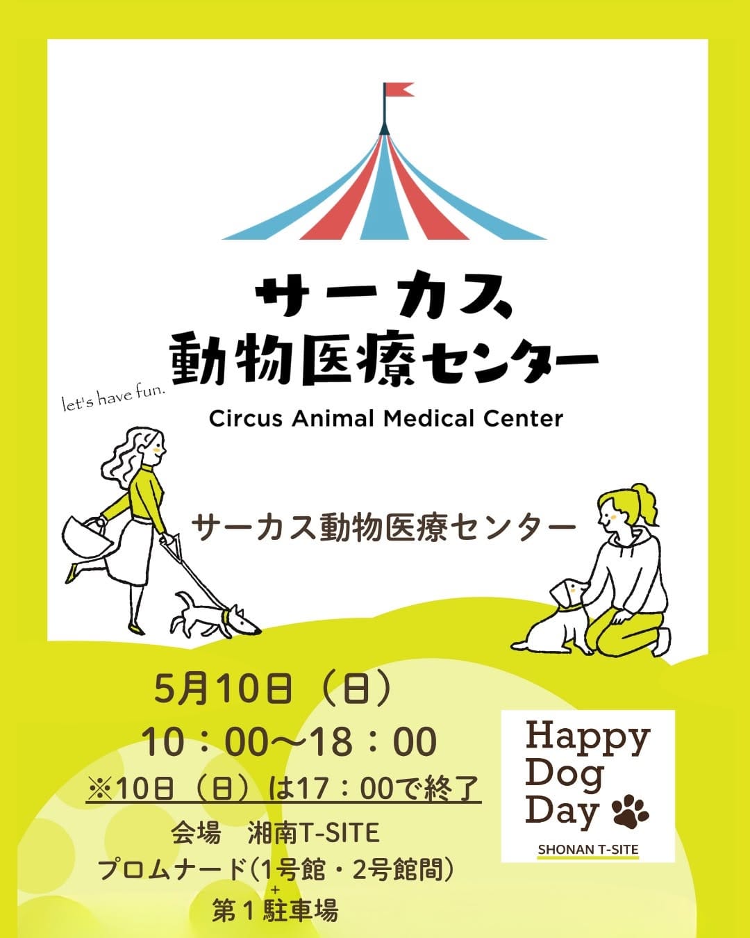 Post 3 by どうぶつの歯科／歯科獣医師が今からでも出来るケアを発信 on Instagram (carousel)