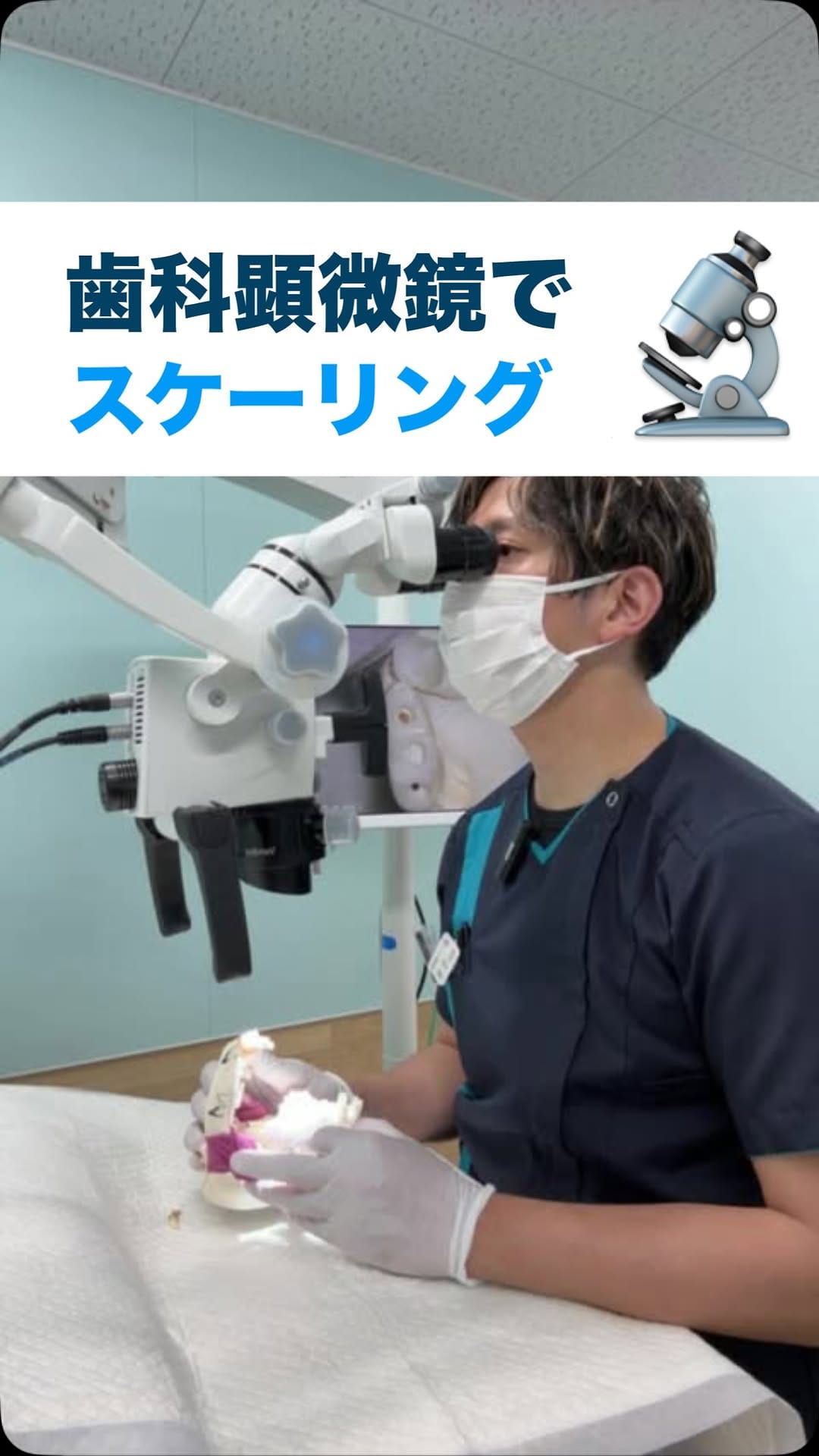 Post 1 by どうぶつの歯科／歯科獣医師が今からでも出来るケアを発信 on Instagram (video)