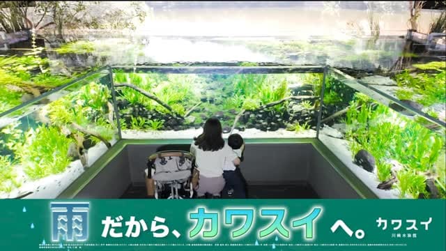 Post 10 by カワスイ 川崎水族館 on Instagram (video)