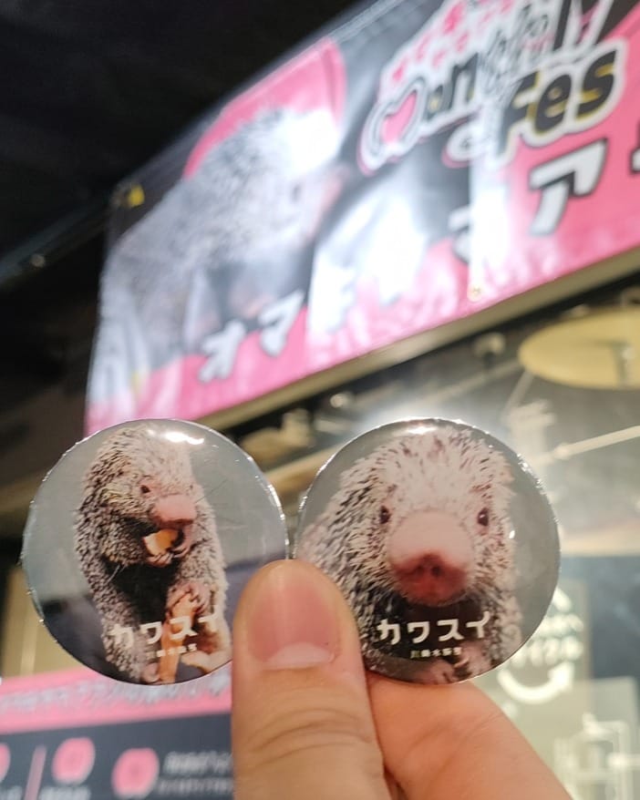 Post 6 by カワスイ 川崎水族館 on Instagram (carousel)