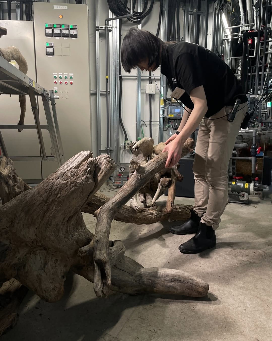 Post 3 by カワスイ 川崎水族館 on Instagram (carousel)
