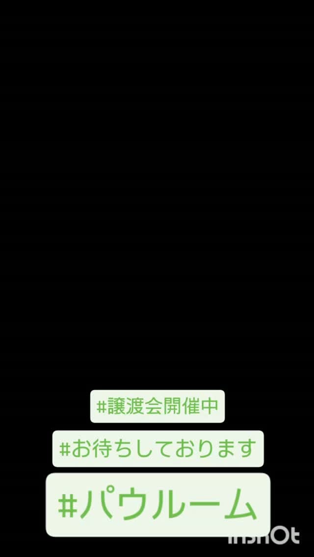 Post 5 by PAW ROOM | 犬猫里親募集中 on Instagram (video)