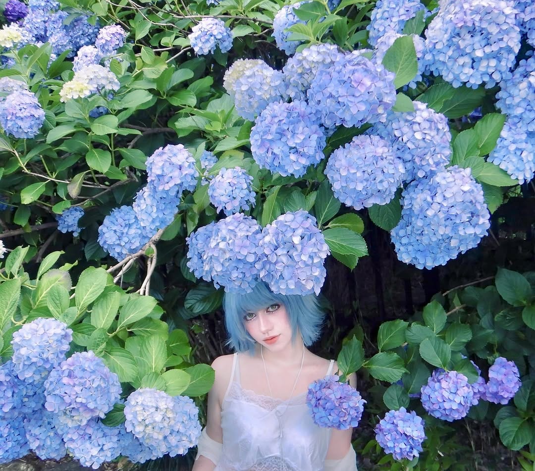 Post 4 by おちゃ(Oh-cha) on Instagram (carousel)
