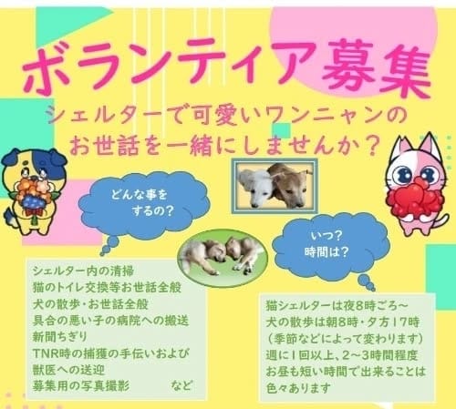 Post 10 by ちびたまのしっぽ 愛護会 on Instagram (carousel)