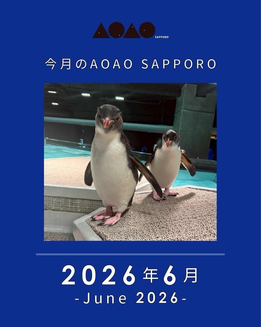 Post 8 by AOAO SAPPORO（アオアオ サッポロ） on Instagram (carousel)