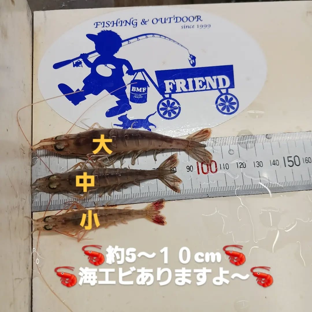 Post 3 by 釣具のフレンド松前店 on Instagram (carousel)