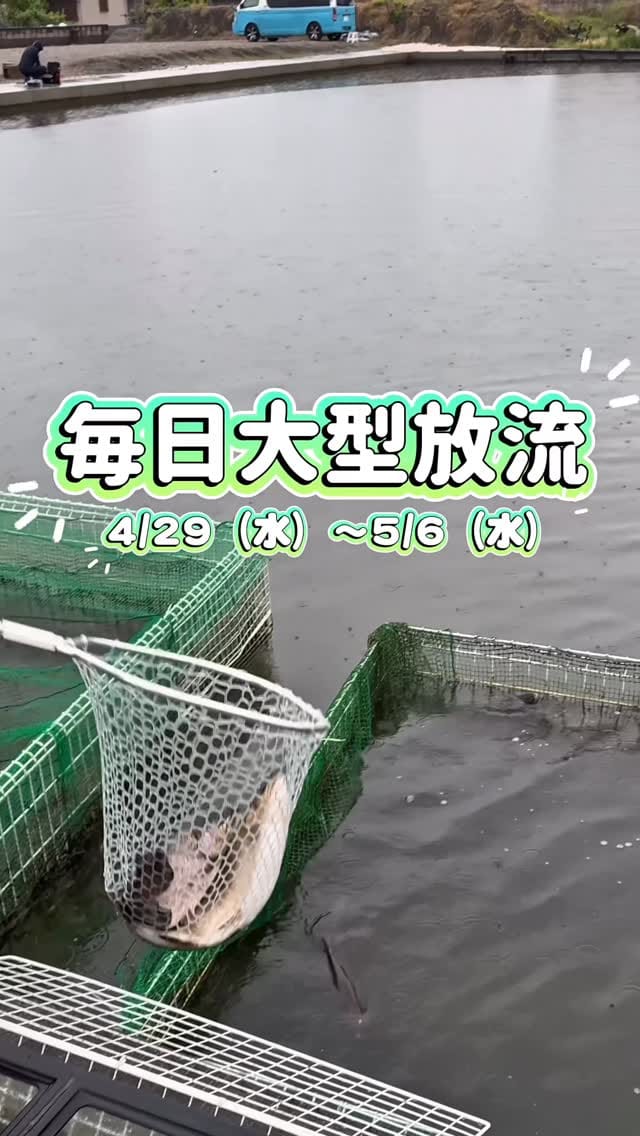 Post 6 by TSURIBORI弁天閣 埼玉エリアトラウト on Instagram (video)