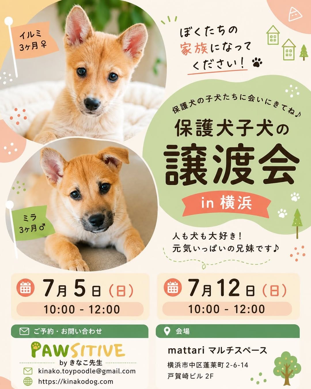 Post 5 by きなこ先生｜Pawsitive(パウジティブ）｜保護犬の預かりボランティア on Instagram (carousel)