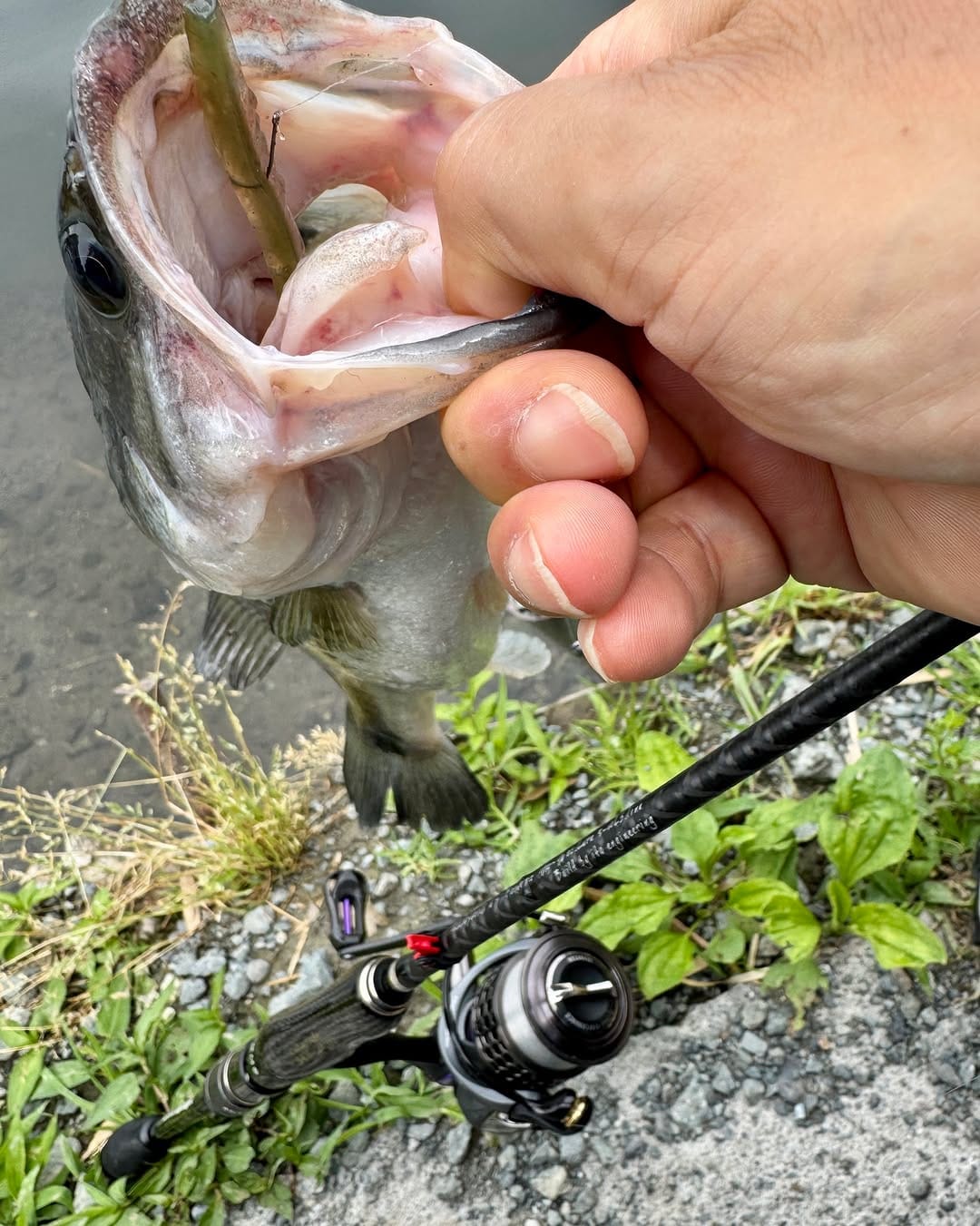 Post 5 by JDM Tackle Heaven on Instagram (carousel)