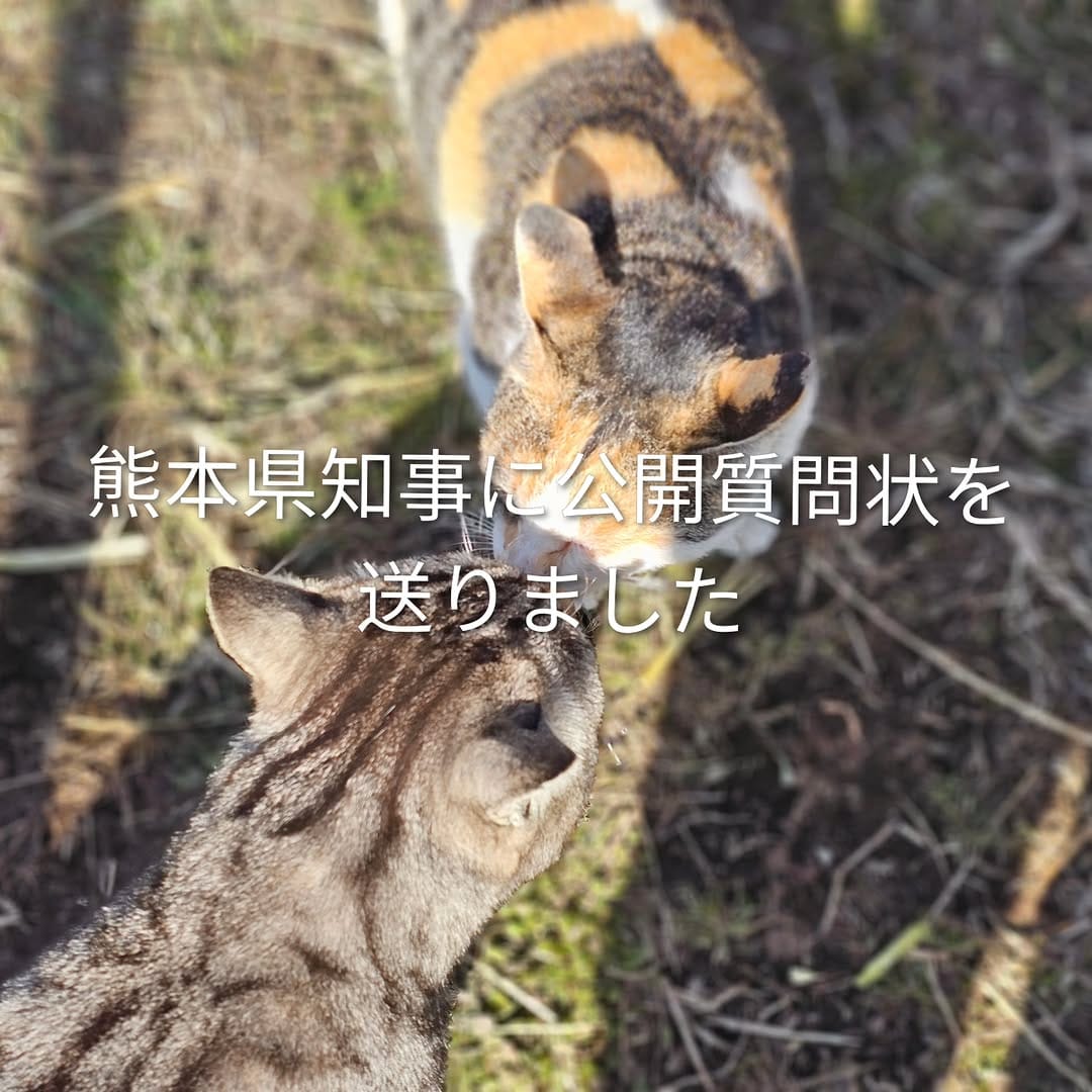 Post 5 by 南阿蘇のファームサンクチュアリ　オープンセサミ on Instagram (image)