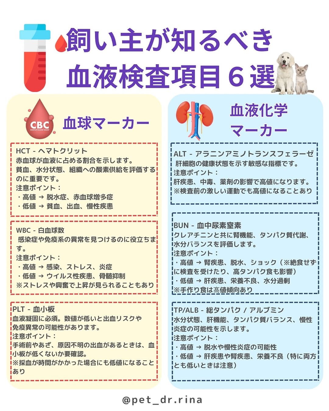 Post 8 by 獣医りな先生|皮膚科|手作り食 on Instagram (image)