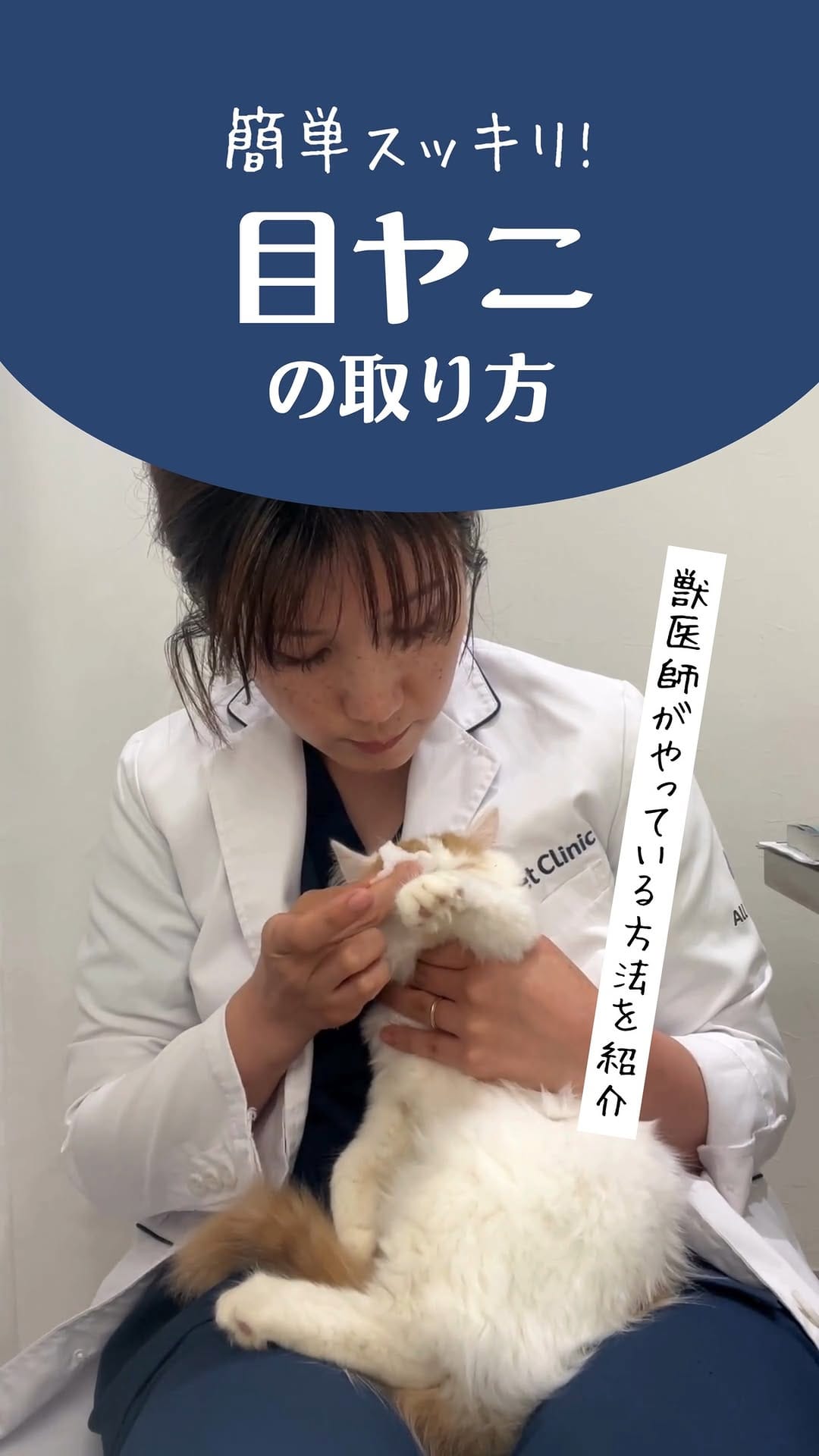 Post 5 by 獣医りな先生|皮膚科|手作り食 on Instagram (video)