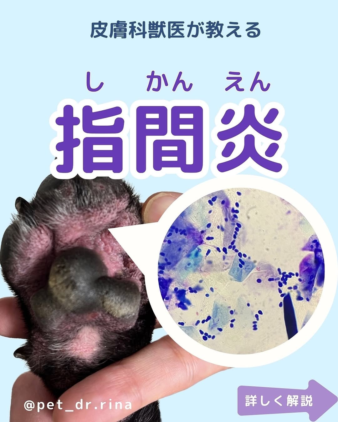 Post 10 by 獣医りな先生|皮膚科|手作り食 on Instagram (carousel)
