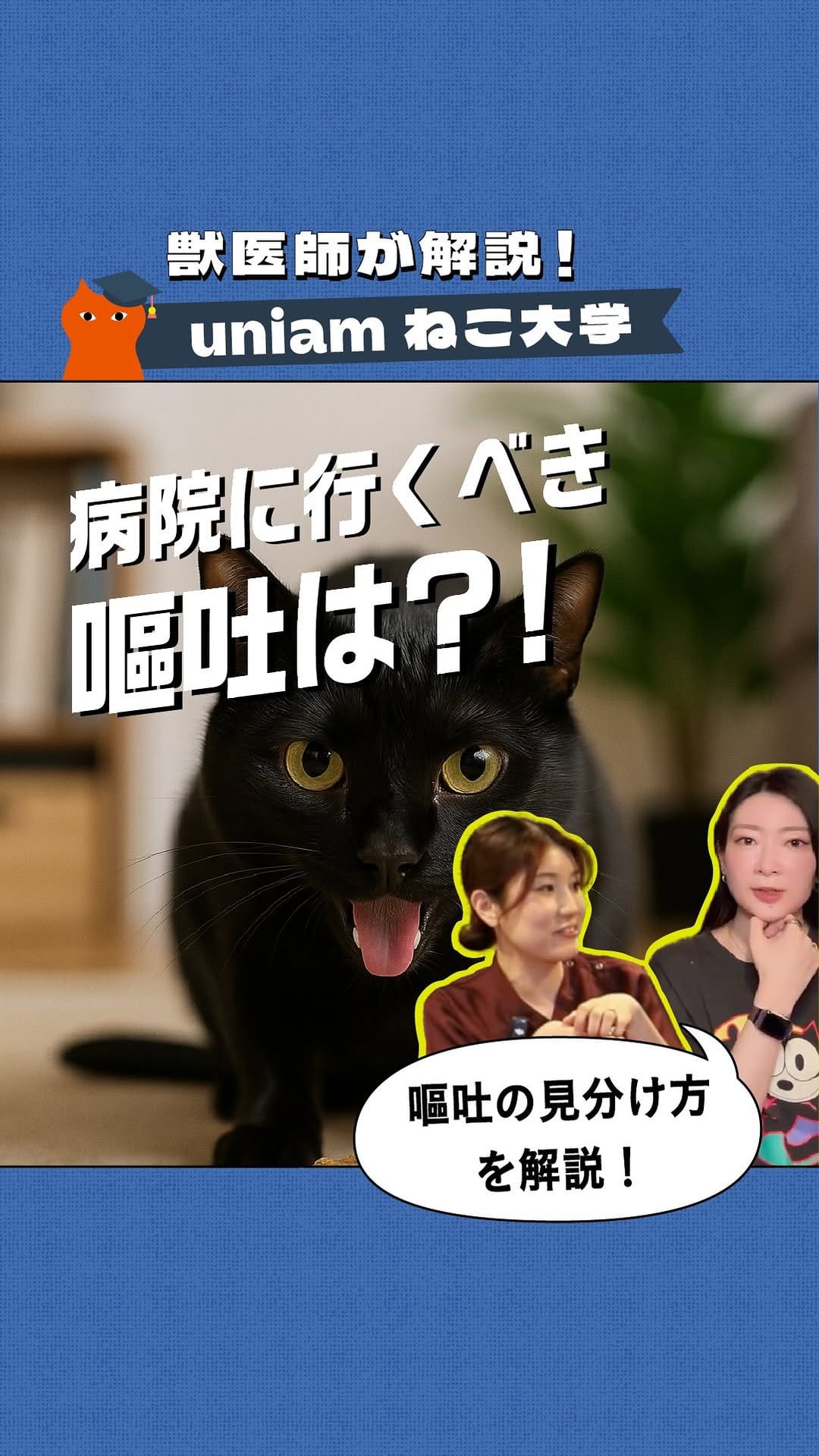 Post 7 by 獣医りな先生|皮膚科|手作り食 on Instagram (video)